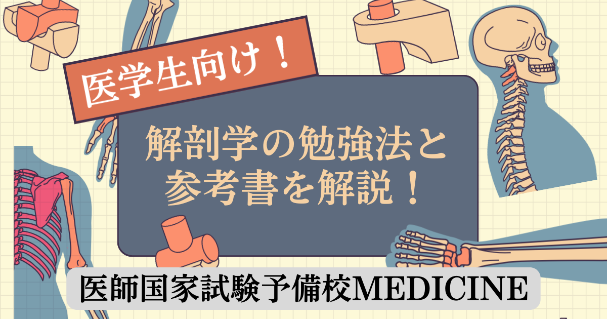 医学生向け！】解剖学の勉強法と参考書を解説！【2026年2月更新