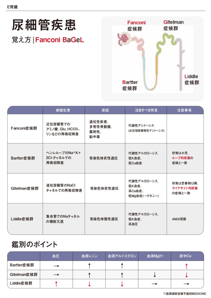 国試浪人 本科コース
教材サンプル