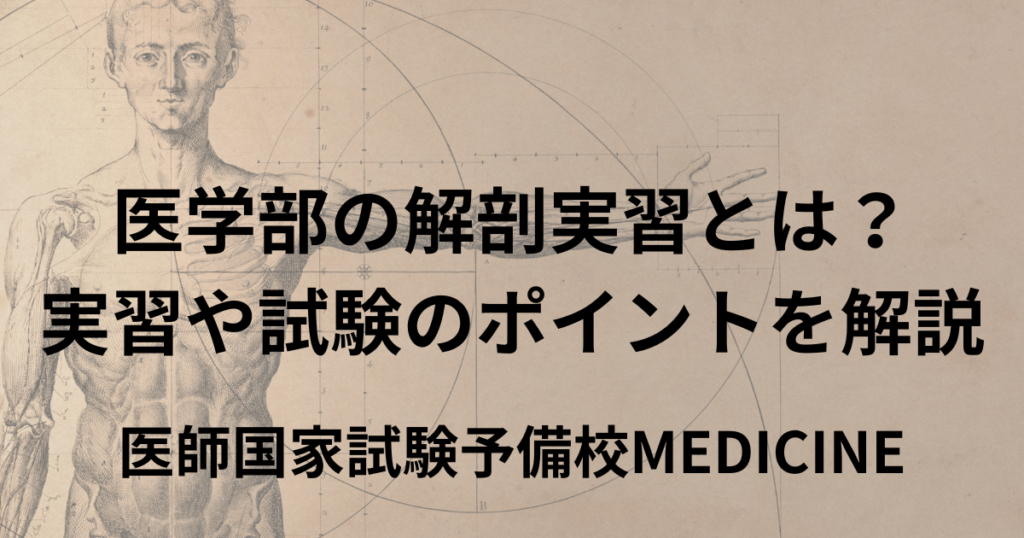 医学部の解剖実習とは?実習や試験のポイントを解説 | 医師国家試験予備校MEDICINE