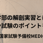 医学部の解剖実習とは？実習や試験のポイントを解説 | 医師国家試験予備校MEDICINE