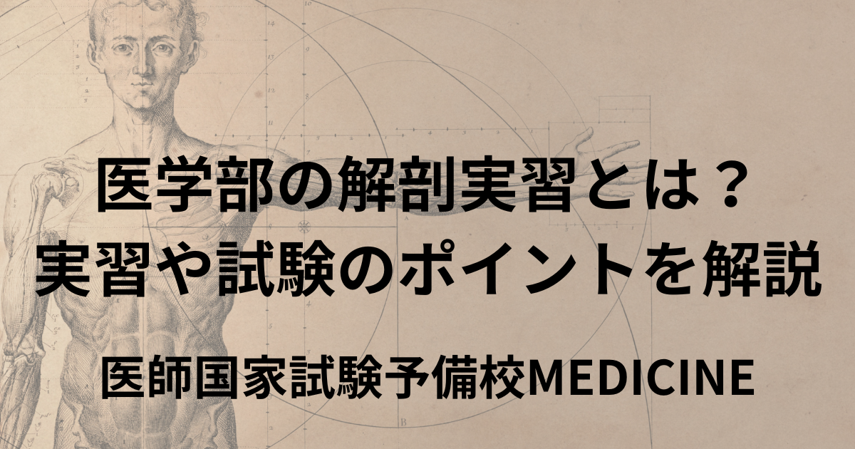 医学部の解剖実習とは？実習や試験のポイントを解説 | 医師国家試験
