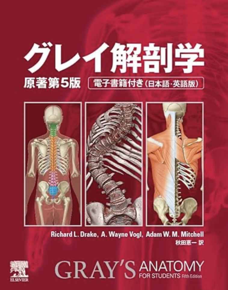グレイ解剖学
